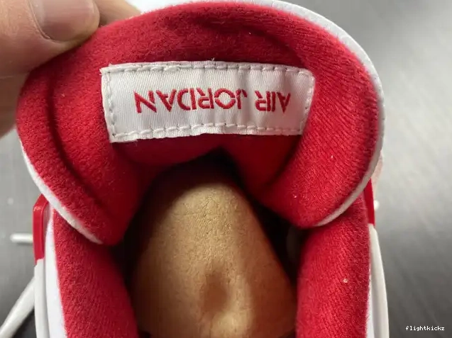 Alternate 89 Retro 4 Jordan Air 308497-106 0706